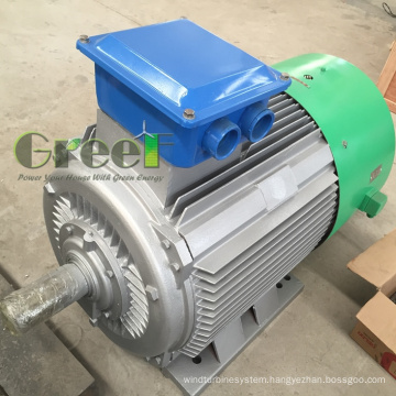 50W-5MW Water Power Permanent Magnent Generator with Low Rpm